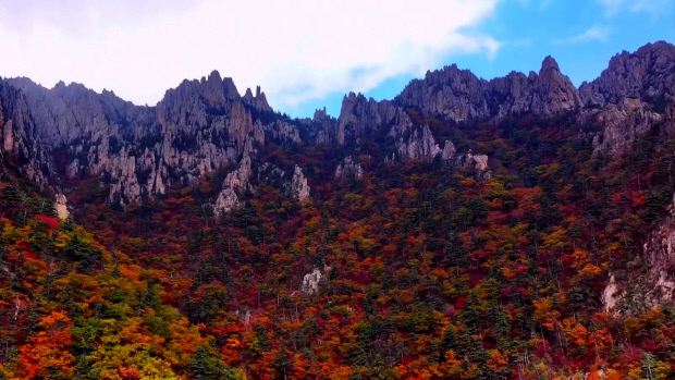 천하의 명산