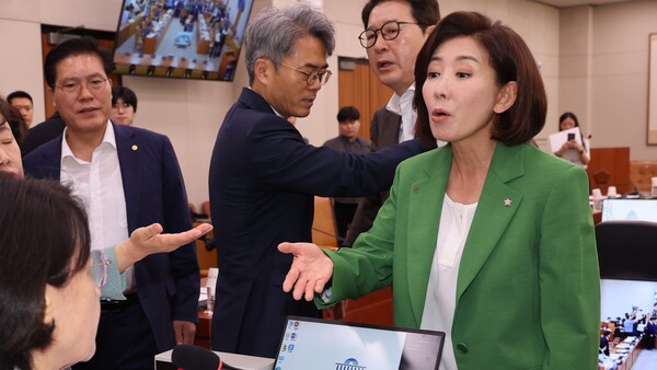 <b>나경원</b> '<b>초선 비하</b>' <b>논란</b>… 초선 의원들 "국민 대표 무시"