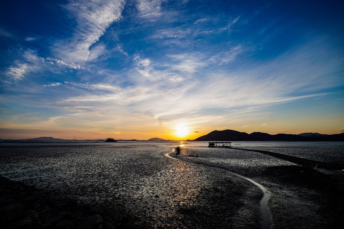 순천만습지. 순천시 제공