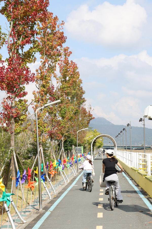단풍으로 물든 강진만 자전거 길