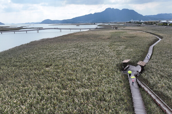 강진만생태공원 전경