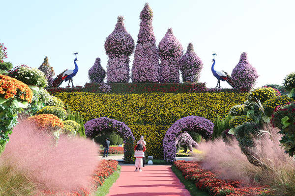 붉은 카펫을 걷는 기분으로 가을을 만끽하는 관광객들