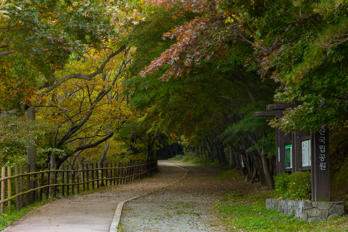 무등산국립공원 의병길은 풍암제에서 시작해 원효계곡을 지나 제철 유적지로 이어지는 3.5㎞ 길이다. 충장공 김덕령 의병장의 발자취를 기리는 의미에서 조성됐다.