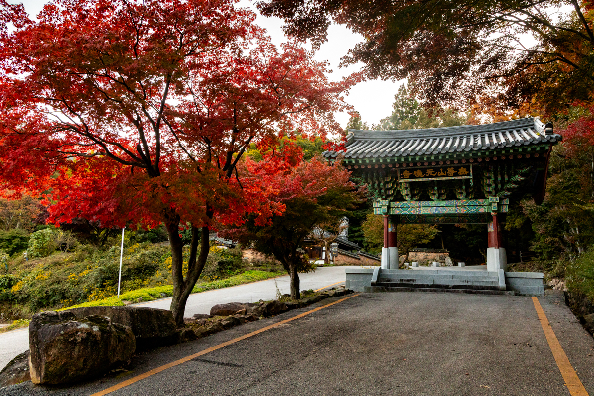 무등산국립공원 원효사 일주문 앞 단풍이 점차 붉게 물들며 사찰로 들어서는 길목부터 가을 기운이 느껴진다.