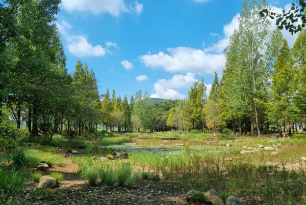 광양 옥룡 솔밭섬. 광양시 제공