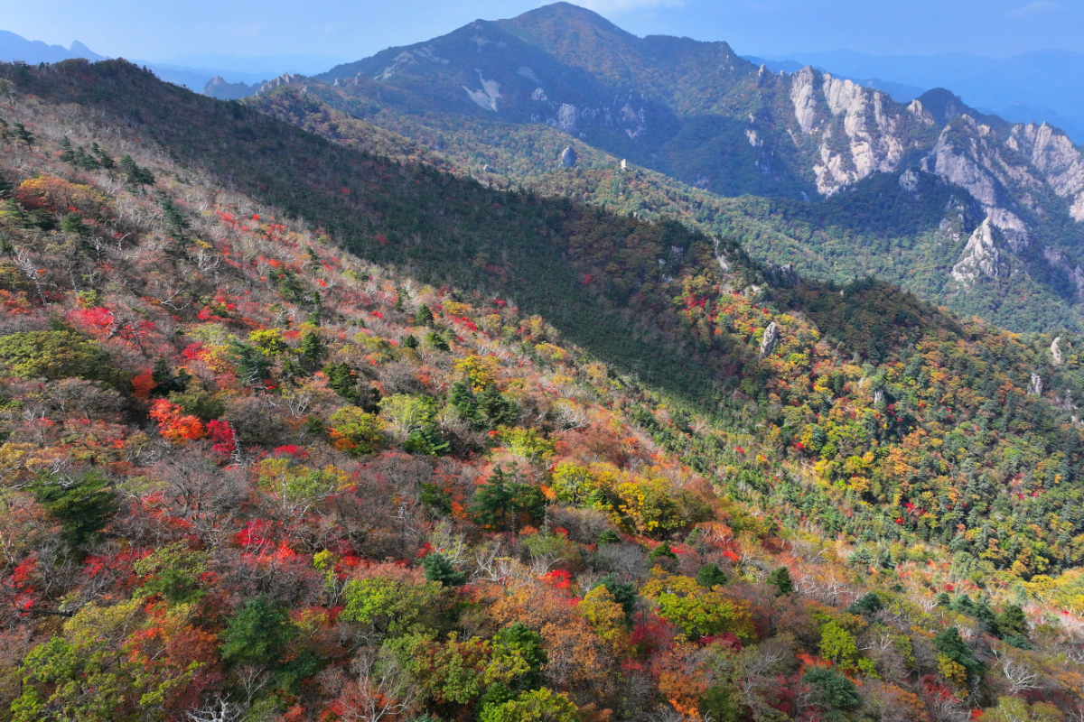 개천절 연휴 가을 나들이객 북적…전국 명산·<b>축제</b>장 '인산인해'